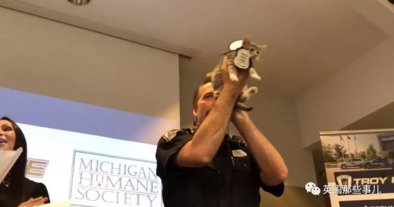 履行諾言！一隻喵最近入職宣誓警察局，這架勢很酷啊！