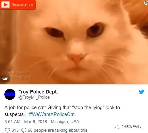 履行諾言！一隻喵最近入職宣誓警察局，這架勢很酷啊！