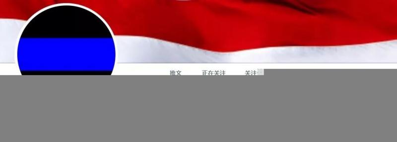 履行諾言！一隻喵最近入職宣誓警察局，這架勢很酷啊！