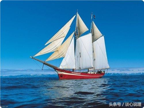 心理測試：四棵樹哪個會發新芽，測試你後半輩子過得滋潤嗎？ 