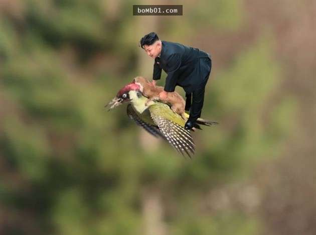 自從金正恩的「床照」曝光後，各路PS大神立馬出手修圖讓大家笑到停不下來！