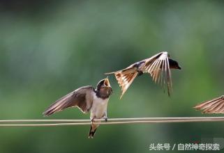 回娘家探望爸媽，無意看見母親手機里一封簡訊，讓我忍不住想斷絕母女關係！