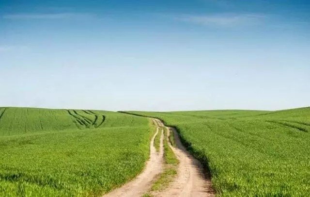 心理測驗：如果你正在逃跑，會選哪條小路？測你心機指數！ 