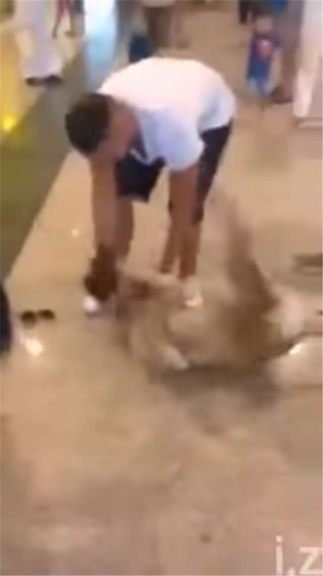 突然看到3年沒回家的男主人出現在面前...毛小孩瘋狂的反應讓人忍不住紅了眼眶！ 