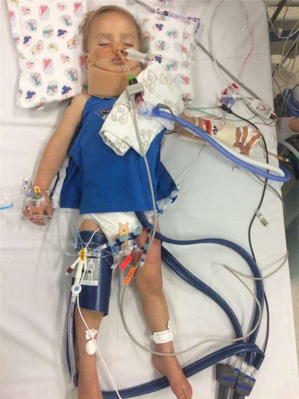 狗狗死命咬著主人的褲子拖到湖邊，正想開罵時發現湖面上漂浮物，讓他幾乎崩潰！