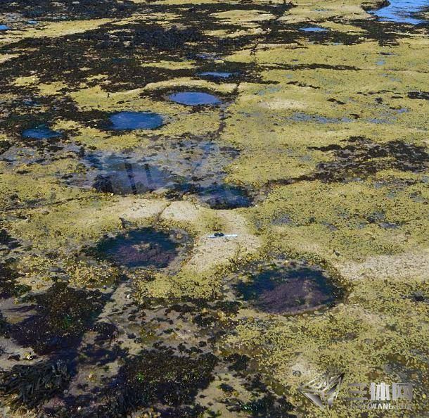 男子在荒島上發現「不明的巨大腳印」，於是一直沿著腳印走，沒想到卻發現「這個真相」！太驚人啦！