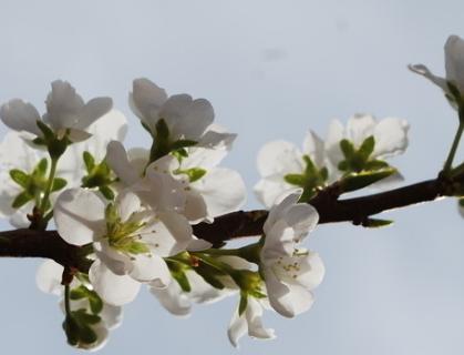 5月底，5大生肖財運連綿，鈔票與日俱增，金山銀山擁入懷！ 