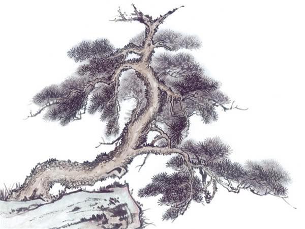 最會省錢的3大生肖女，會過日子能省錢！招3年財運，有錢花！