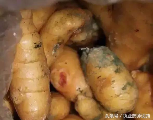 一片生薑勝丹方，生薑的這些好處要知道，附生薑的6種用法