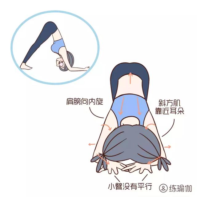 5個動作幫助腸胃排毒，每天做一做斑點消失了，便秘、口臭都好了