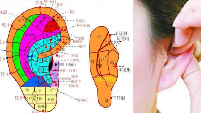一天只要10分鐘，耳朵的穴道按摩操讓你氣色好了、頭痛好了、不失眠了