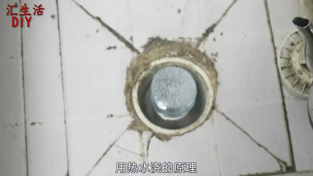 夏天衛生間滿是小飛蟲，只需這兩樣東西，小飛蟲殺的一干二淨 