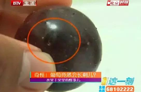 葡萄皮上有這東西千萬別買，買了也別吃！ 