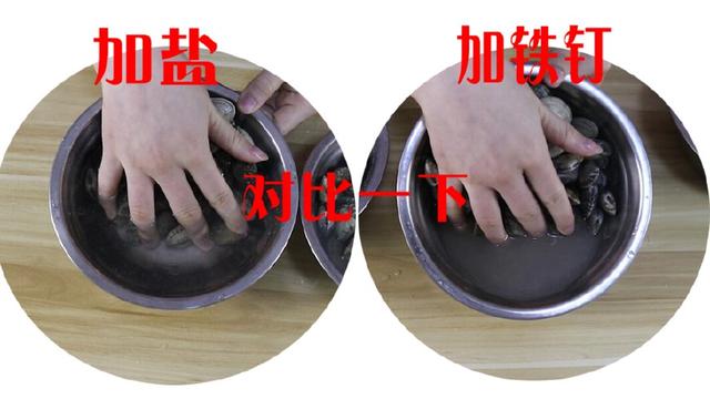 別再用鹽水洗花蛤了，教你一招，泥沙吐得又快又干淨，太省時間了