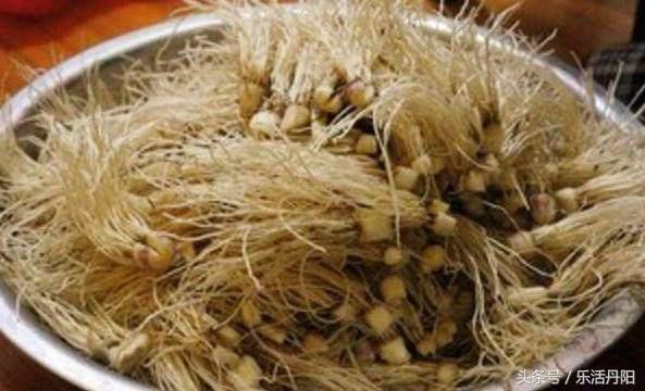 這道菜消滅婦科炎症，女性要多吃，消炎殺菌，成本只要幾塊錢