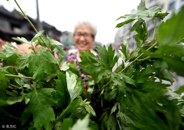 用「艾草」泡腳時，要記住這2個「不要」！很多人不懂，總是泡錯