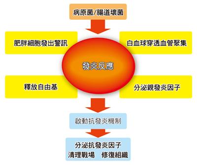 醫生總叫你多喝水，您知道為什麼嗎？很重要！看完後你不敢再不喝水了！（請用力分享轉載） 