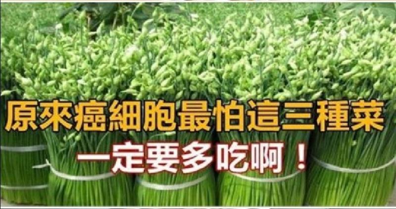 原來癌細胞最怕這三種菜，根本是家庭必備，一定要多吃啊。 