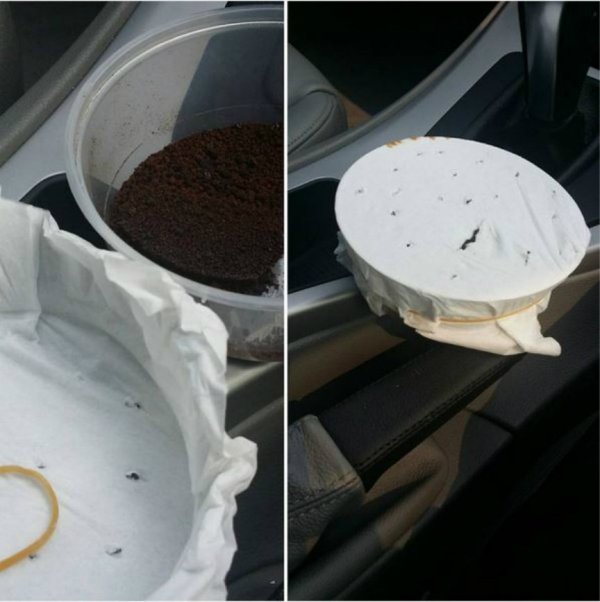 「車裡怪味」散不去?!只要把這個放車上，一夜變新車! 比空氣清凈劑強100倍！趕快試試看！ 