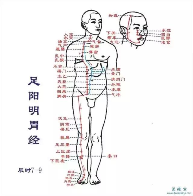 5月「兩個穴位」一按濕氣跑光光，跟水腫腳氣說掰掰！ 