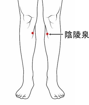 人體毒素排泄口，把濕毒排出去，健康長壽