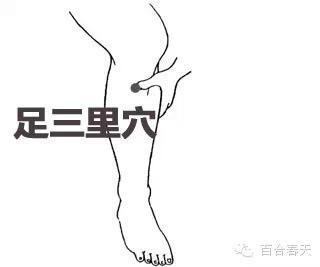 人體毒素排泄口，把濕毒排出去，健康長壽