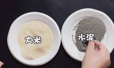 用藥滅不光老鼠蟑螂？教你一個美國秘方，只需半碗米，幫你把家裡的老鼠蟑螂全滅了！