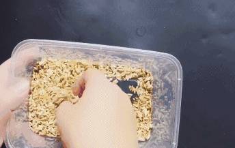 用藥滅不光老鼠蟑螂？教你一個美國秘方，只需半碗米，幫你把家裡的老鼠蟑螂全滅了！