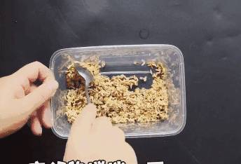 用藥滅不光老鼠蟑螂？教你一個美國秘方，只需半碗米，幫你把家裡的老鼠蟑螂全滅了！