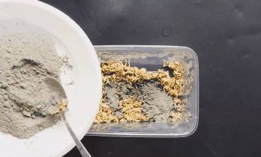用藥滅不光老鼠蟑螂？教你一個美國秘方，只需半碗米，幫你把家裡的老鼠蟑螂全滅了！