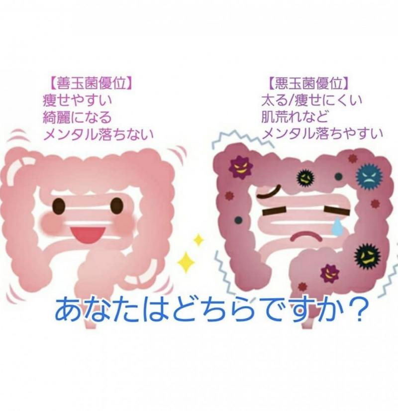 台妹瘋狂熱捧的減肥大法！「綠拿鐵」養生減肥餐單 ，10日甩走10磅，原來要燃燒脂肪先要排清毒素～！