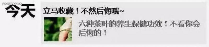 你朋友圈的恐怖真相，都在這片裡，你錯過了嗎？ 