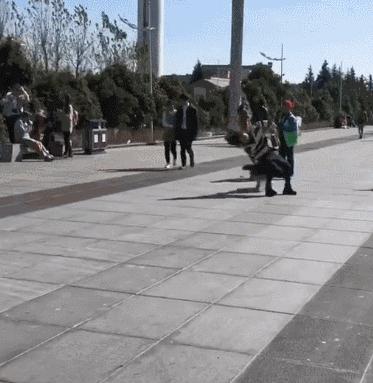 阿拉斯加為幫主人脫單，竟故意將小姐姐撞倒，網友：真令人羨慕