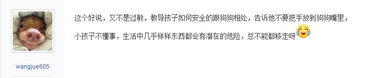 把哈士奇帶回家，說是朋友的狗，幾天後，妻子讓網友和狗一起走