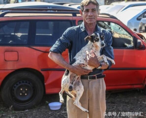 流浪狗一直守護即將被銷毀的汽車10個月，員警靠近一看熱淚盈眶 