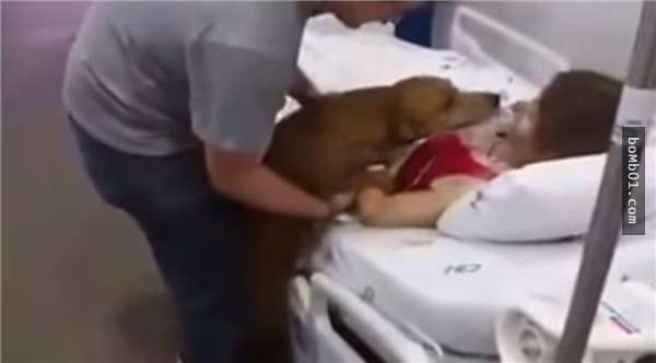 癌末病人希望在咽下最後一口氣前能再跟愛犬見一次面，當愛犬來到她面前時…所有人都哭翻了！ - COCO01