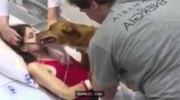 癌末病人希望在咽下最後一口氣前能再跟愛犬見一次面，當愛犬來到她面前時…所有人都哭翻了！ - COCO01