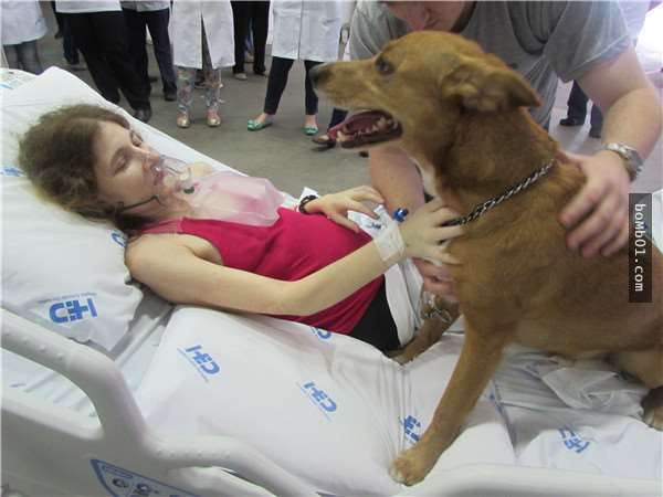 癌末病人希望在咽下最後一口氣前能再跟愛犬見一次面，當愛犬來到她面前時…所有人都哭翻了！ - COCO01