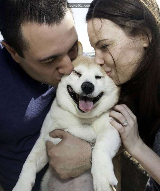 這隻就是全世界最愛笑的柴犬，但是笑容背後卻讓人只能心酸地獻上祝福。 。。。