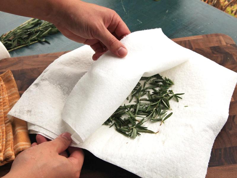 原來這麼簡單！「保存香草」的三種方法！