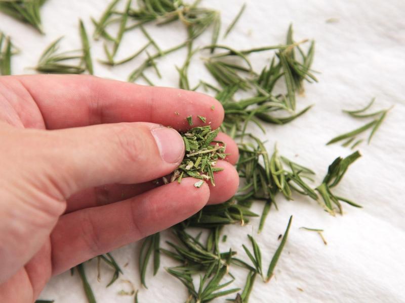 原來這麼簡單！「保存香草」的三種方法！