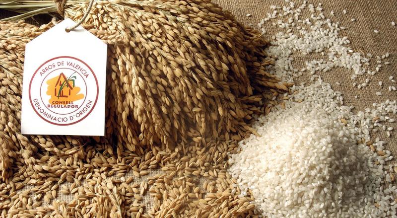 西班牙燉飯靈魂：米食材（El Arroz)