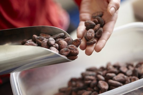 Bean to Bar 重新想像巧克力的旅程