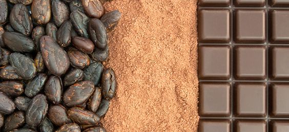 Bean to Bar 重新想像巧克力的旅程