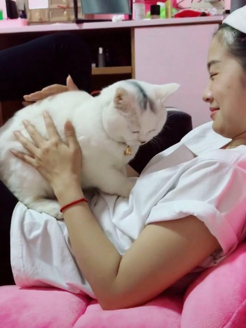 奴才是我的！胖喵喵「深情對望奴才」開掌花...「甜蜜討抱抱」網喊：超會撩～