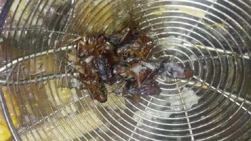 海南女吃火鍋咬到「藥材」 店員察看大驚！ 