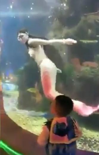 看看她美麗的魚尾巴，以及那優雅的身姿！