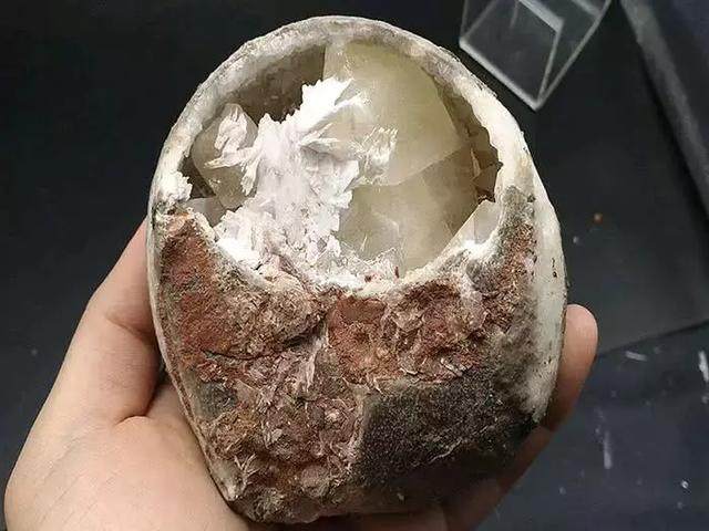 挖到價值不菲的恐龍蛋，然而發現者卻好奇得將它砸開