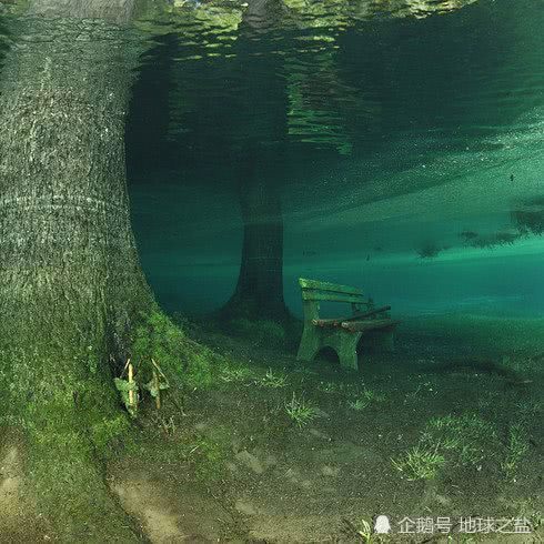 這個公園真任性！每年只出現3個月，如今卻涼涼了！