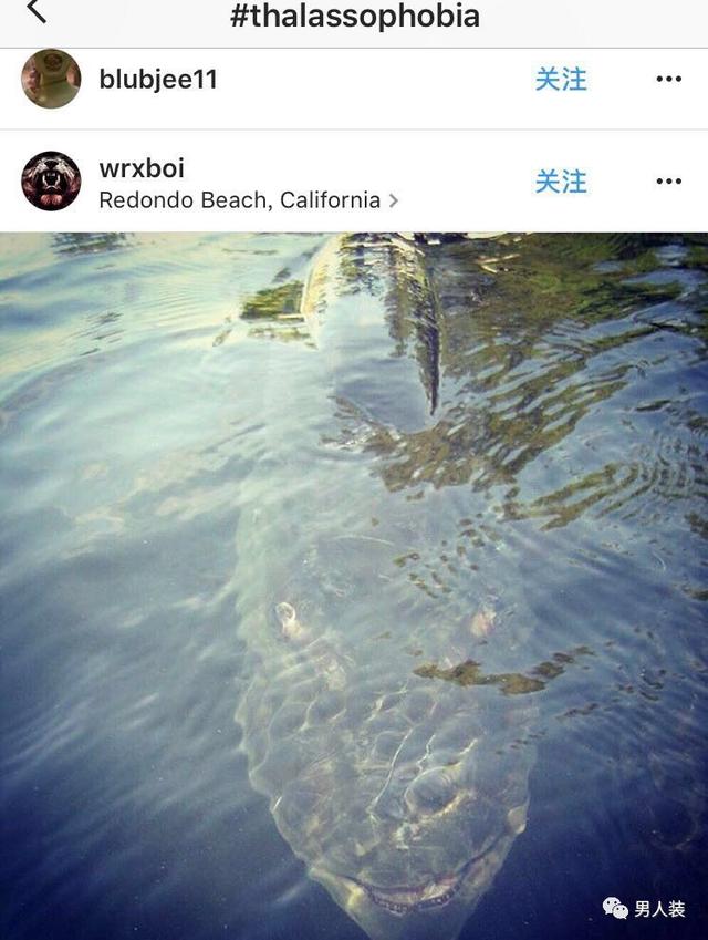 鏡頭下：深海恐懼，讓人不安的大海 , 很自然地人類對於未知的世界是存在著恐懼的 ~ 